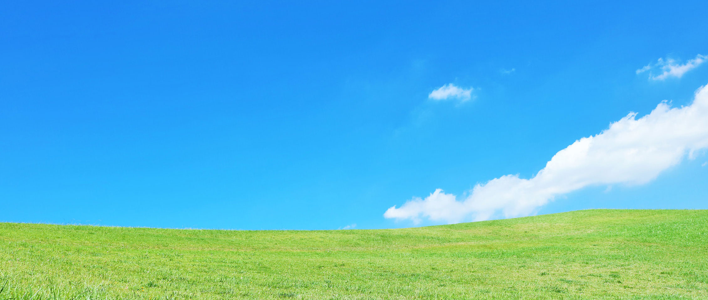 ゴルフショップ FLAT HILL / TOPページ